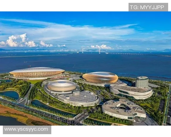 赛场之外的热潮如何点燃大湾区体育赛事的激情与活力 赛场之外的热潮如何点燃大湾区体育赛事的激情与活力