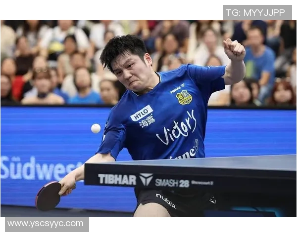 樊振东庆祝德甲60周年首页发布12月赛程锁定三场精彩对决